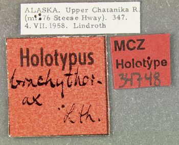 Media type: image;   Entomology 34748 Aspect: labels